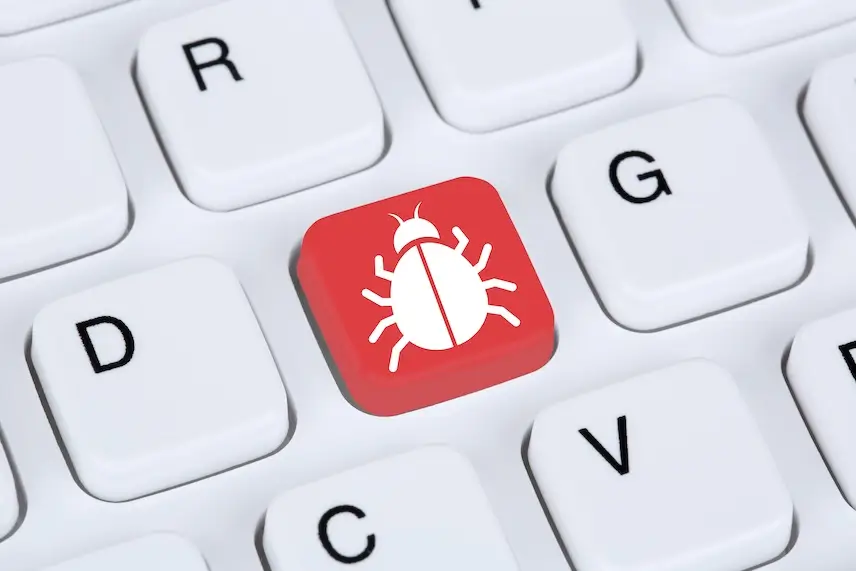 bug einfach erklärt 